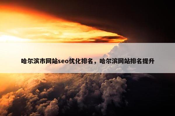 哈尔滨市网站seo优化排名，哈尔滨网站排名提升