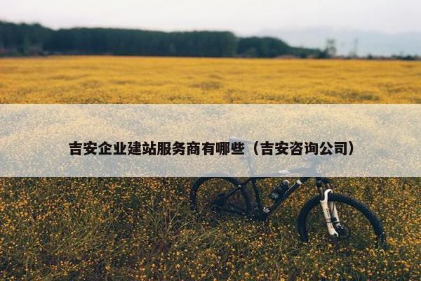吉安企业建站服务商有哪些（吉安咨询公司）
