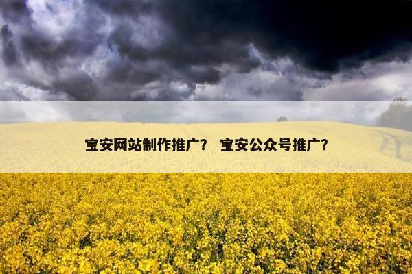 宝安网站制作推广？ 宝安公众号推广？