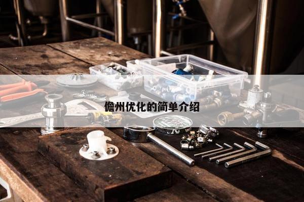 儋州优化的简单介绍