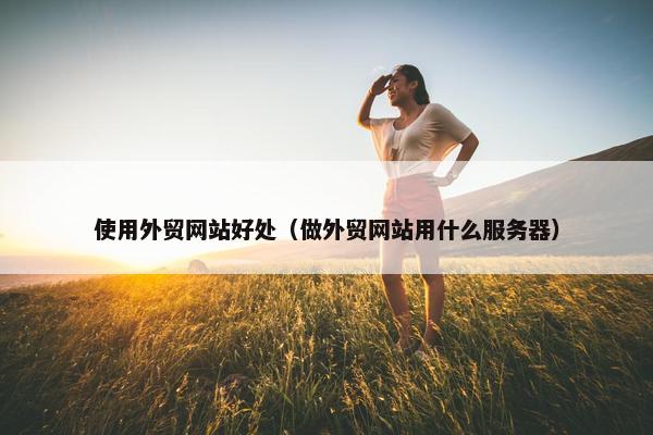 使用外贸网站好处（做外贸网站用什么服务器）