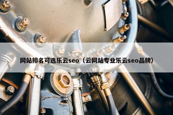 网站排名可选乐云seo（云网站专业乐云seo品牌）