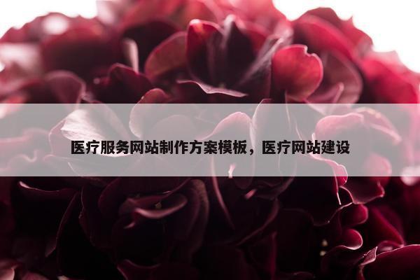 医疗服务网站制作方案模板，医疗网站建设