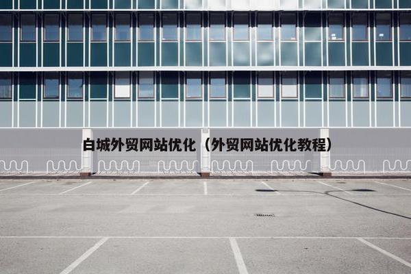 白城外贸网站优化（外贸网站优化教程）