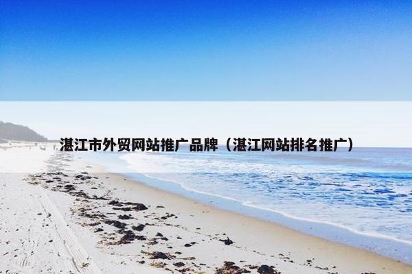 湛江市外贸网站推广品牌（湛江网站排名推广）