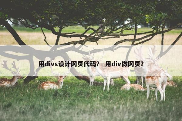 用divs设计网页代码？ 用div做网页？