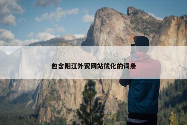 包含阳江外贸网站优化的词条