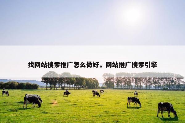 找网站搜索推广怎么做好，网站推广搜索引擎