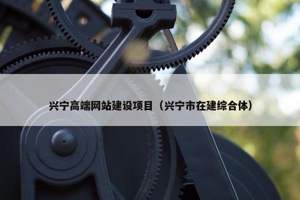 兴宁高端网站建设项目（兴宁市在建综合体）