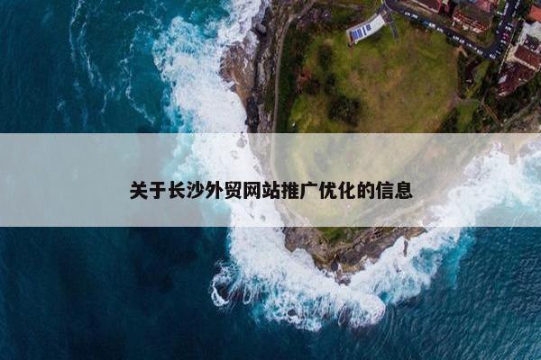 关于长沙外贸网站推广优化的信息