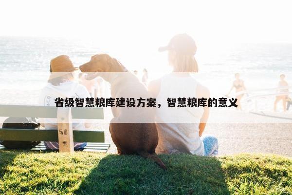 省级智慧粮库建设方案，智慧粮库的意义