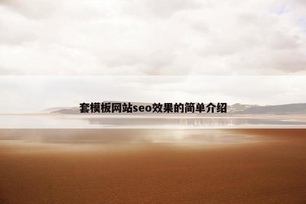 套模板网站seo效果的简单介绍