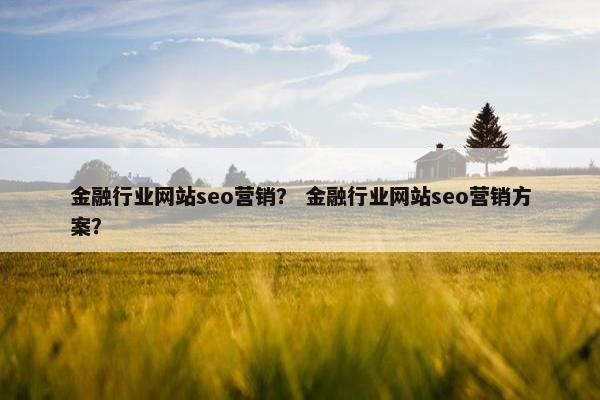 金融行业网站seo营销？ 金融行业网站seo营销方案？