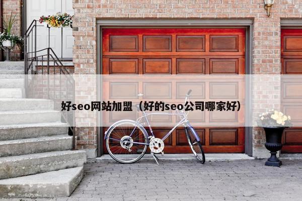 好seo网站加盟（好的seo公司哪家好）