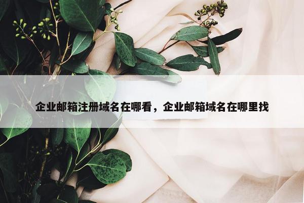 企业邮箱注册域名在哪看，企业邮箱域名在哪里找