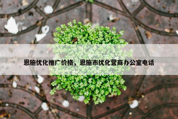 恩施优化推广价格，恩施市优化营商办公室电话