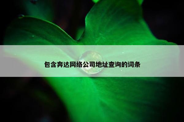 包含奔达网络公司地址查询的词条