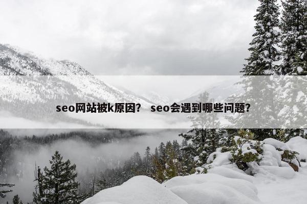 seo网站被k原因？ seo会遇到哪些问题？