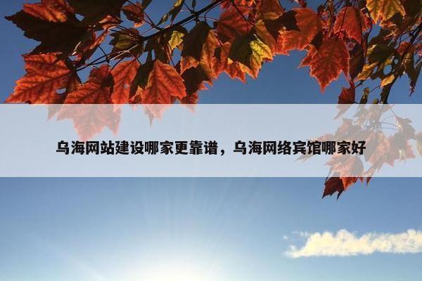乌海网站建设哪家更靠谱，乌海网络宾馆哪家好