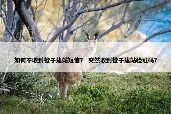 如何不收到橙子建站短信？ 突然收到橙子建站验证码？