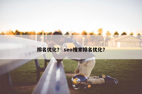 排名优化？ seo搜索排名优化？