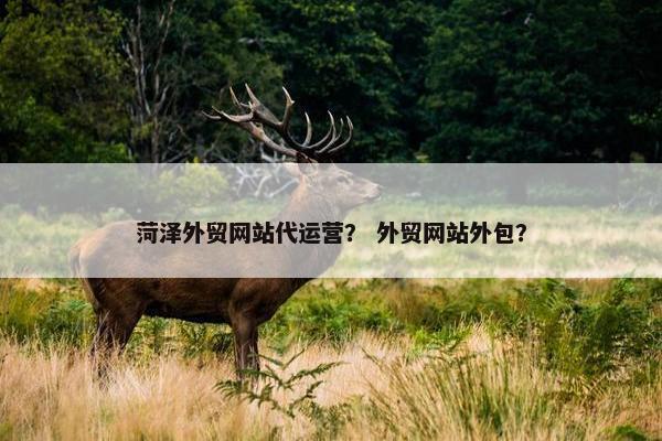 菏泽外贸网站代运营？ 外贸网站外包？