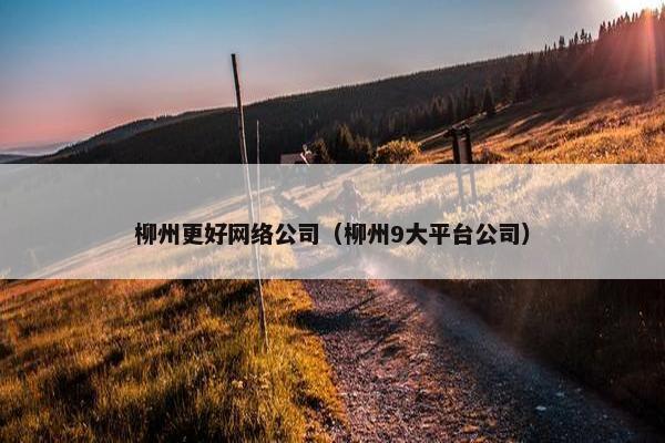 柳州更好网络公司（柳州9大平台公司）