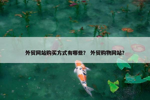 外贸网站购买方式有哪些？ 外贸购物网站？