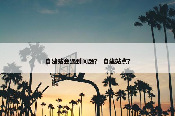 自建站会遇到问题？ 自建站点？