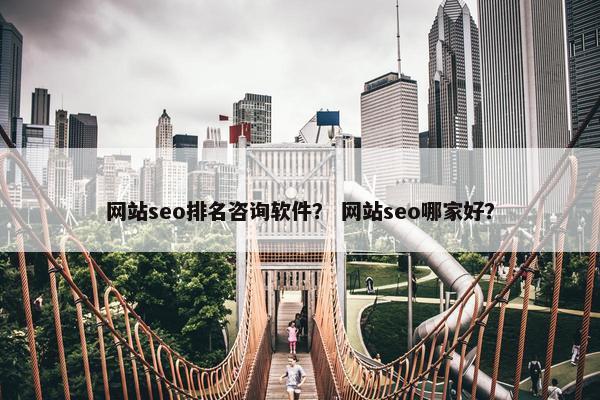 网站seo排名咨询软件？ 网站seo哪家好？