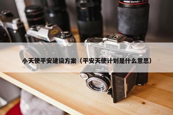 小天使平安建设方案（平安天使计划是什么意思）