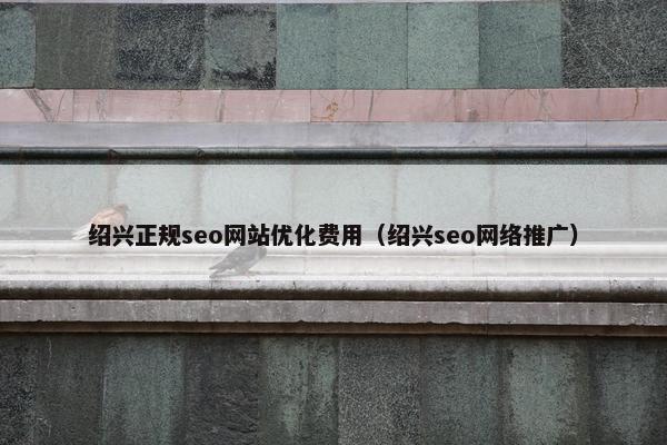 绍兴正规seo网站优化费用（绍兴seo网络推广）