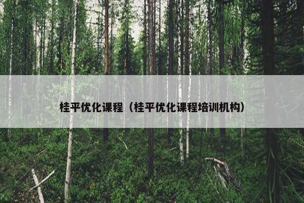 桂平优化课程（桂平优化课程培训机构）