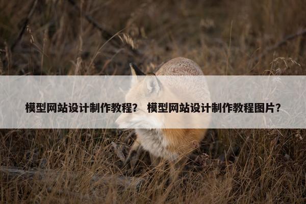模型网站设计制作教程？ 模型网站设计制作教程图片？