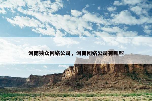 河南独众网络公司，河南网络公司有哪些