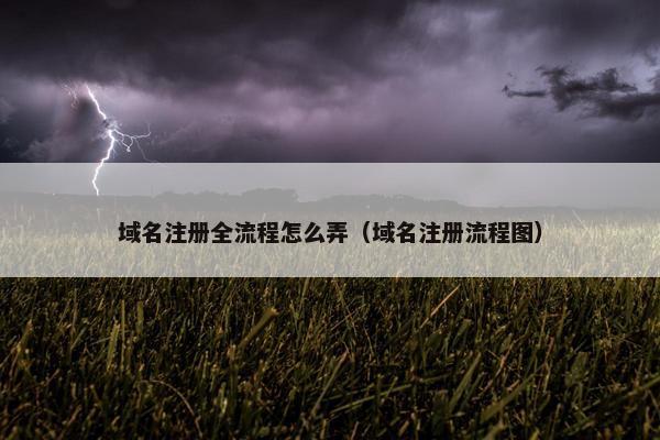 域名注册全流程怎么弄（域名注册流程图）