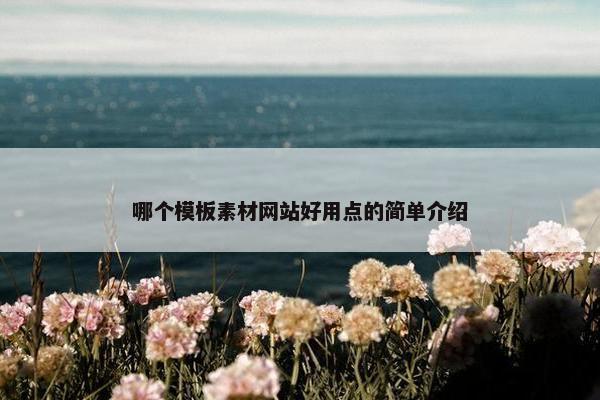 哪个模板素材网站好用点的简单介绍