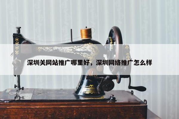 深圳关网站推广哪里好，深圳网络推广怎么样