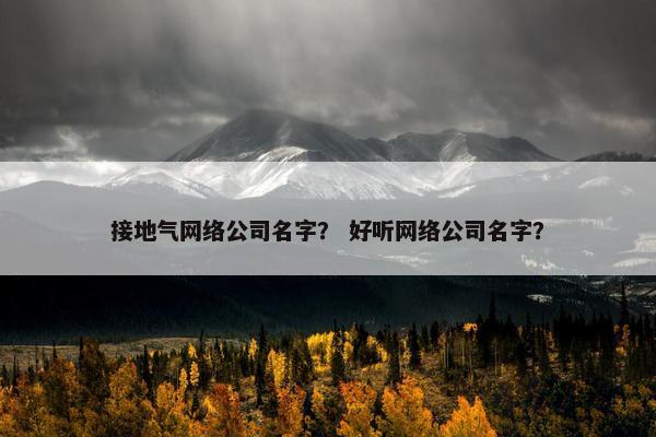 接地气网络公司名字？ 好听网络公司名字？