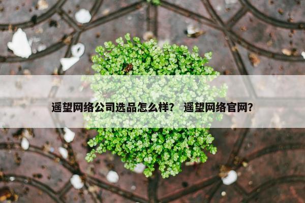 遥望网络公司选品怎么样？ 遥望网络官网？