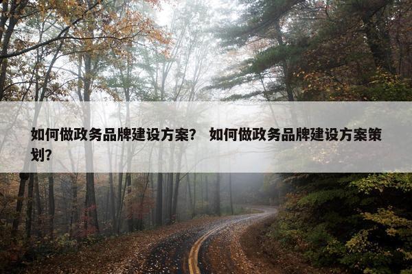 如何做政务品牌建设方案？ 如何做政务品牌建设方案策划？
