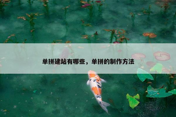 单拼建站有哪些，单拼的制作方法