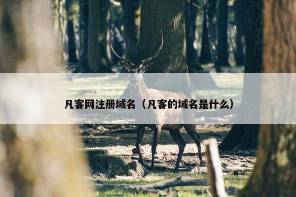 凡客网注册域名（凡客的域名是什么）