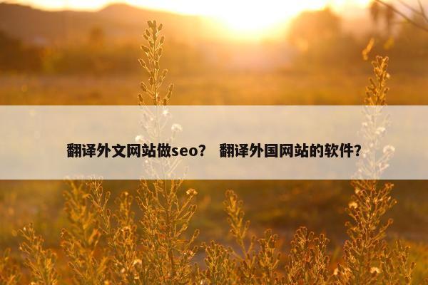 翻译外文网站做seo？ 翻译外国网站的软件？