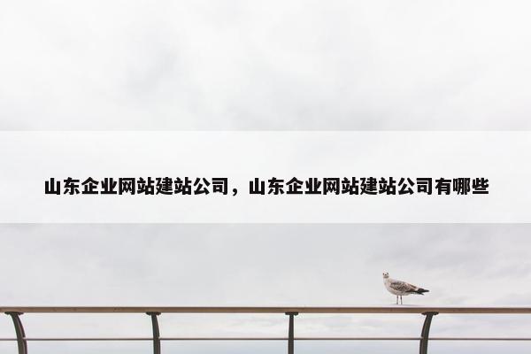 山东企业网站建站公司，山东企业网站建站公司有哪些