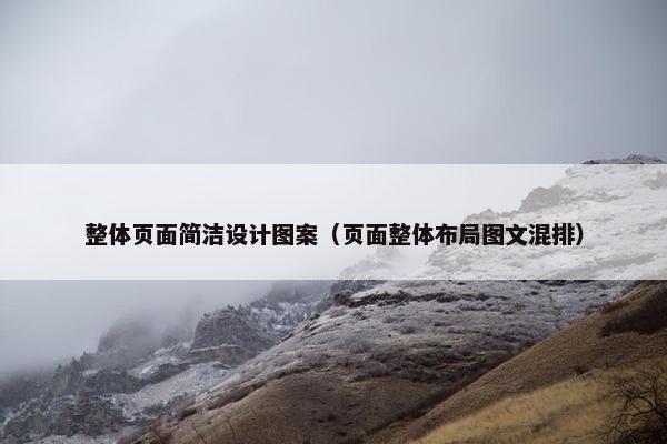 整体页面简洁设计图案（页面整体布局图文混排）
