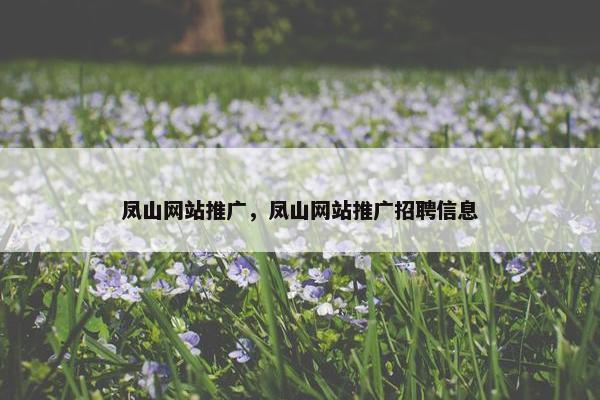 凤山网站推广，凤山网站推广招聘信息