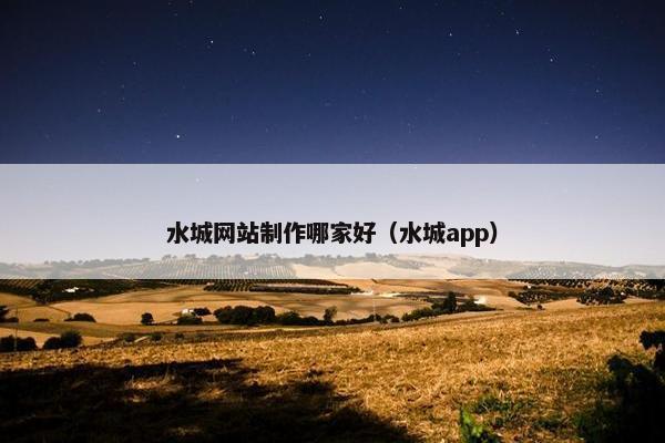 水城网站制作哪家好（水城app）