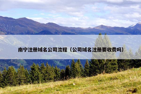南宁注册域名公司流程（公司域名注册要收费吗）