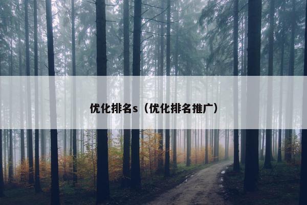 优化排名s（优化排名推广）